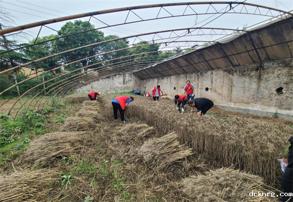 图片.png 图片.png